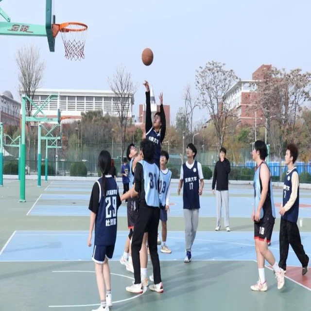 张之臻红土赛场展现新突破